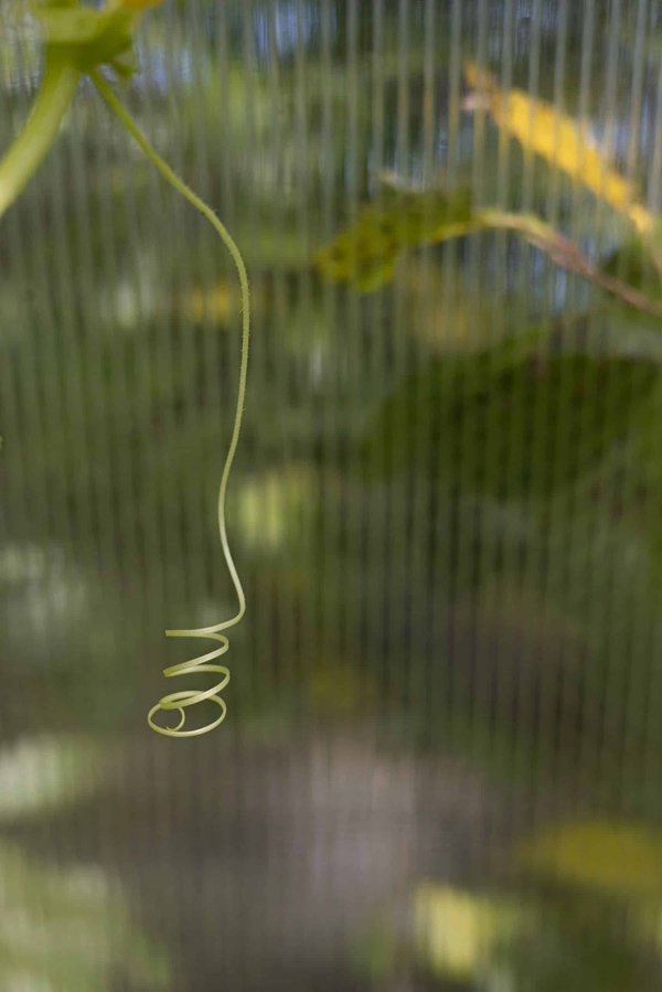 How to Tailor Recovery Protocols for Athletes with Type 1 Diabetes?